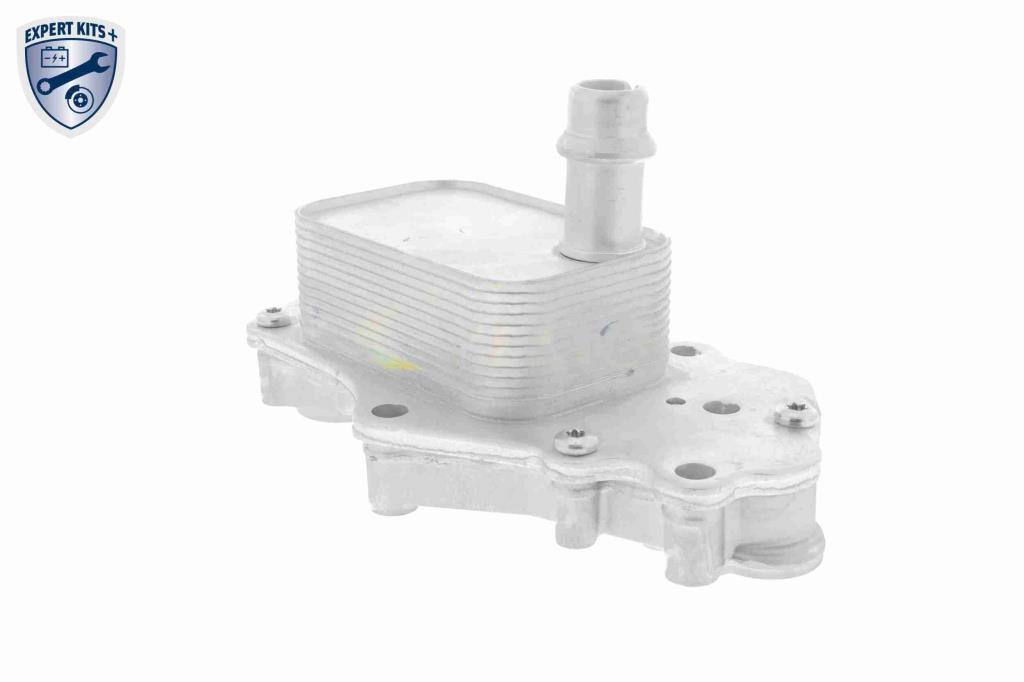 Radiateur d'huile moteur (Refroidisseur d'huile moteur) VEMO V40-60-2102