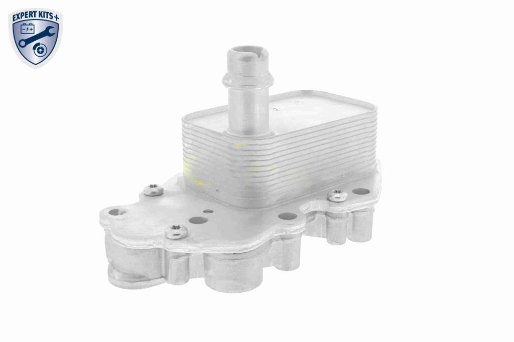 Radiateur d'huile moteur (Refroidisseur d'huile moteur) VEMO V40-60-2102