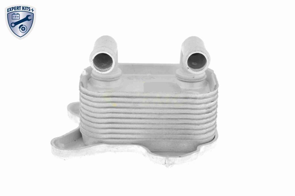 Radiador óleo motor VEMO ref. V40-60-2103