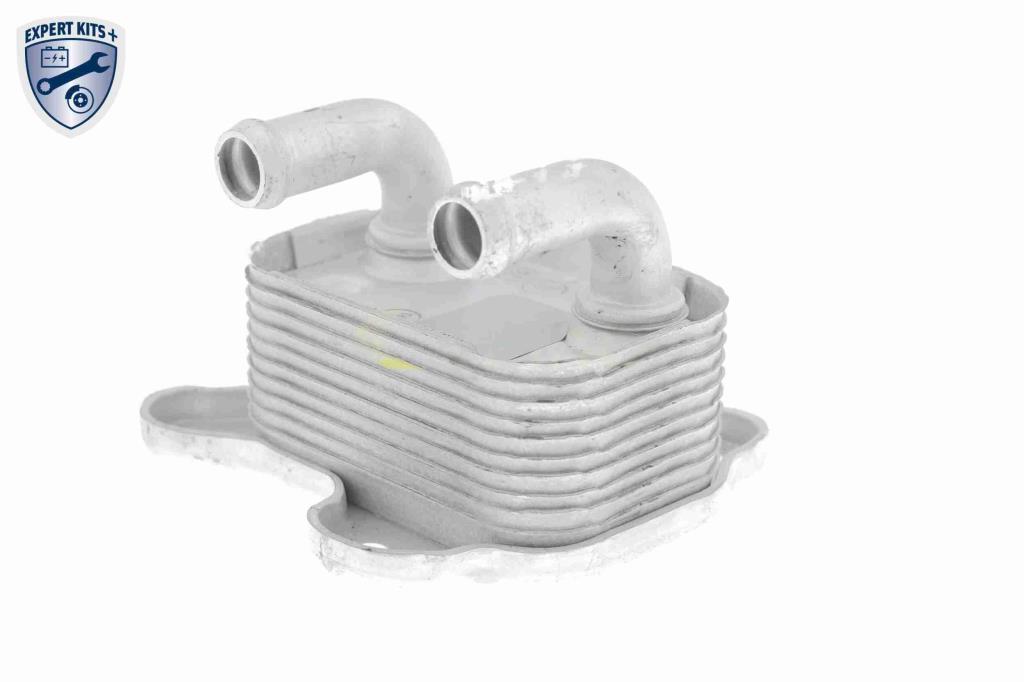 Radiador óleo motor VEMO ref. V40-60-2103