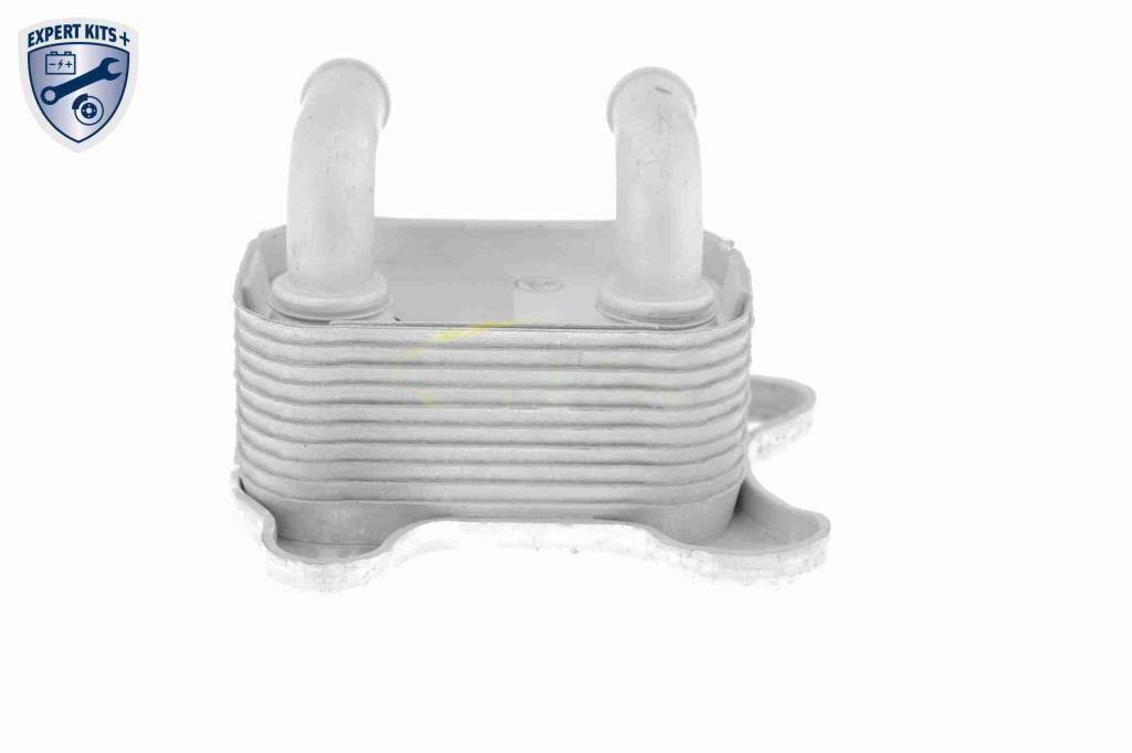 Radiador óleo motor VEMO ref. V40-60-2103