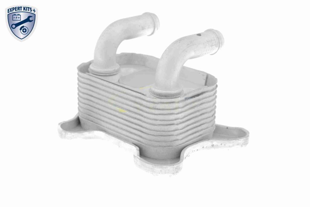 Radiador óleo motor VEMO ref. V40-60-2103