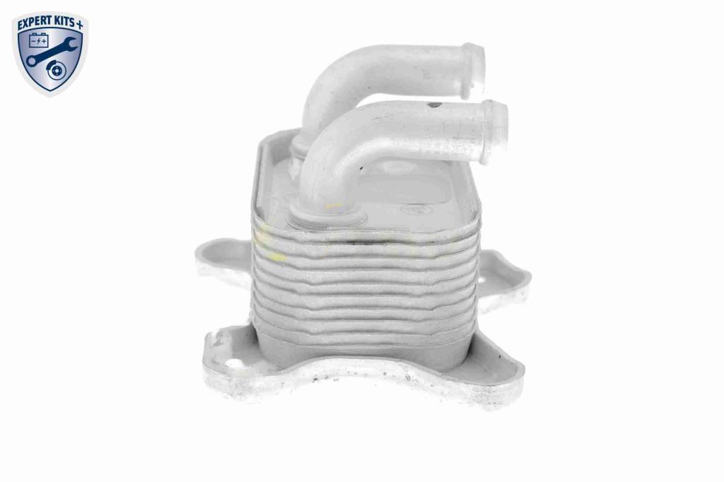 Radiador óleo motor VEMO ref. V40-60-2103