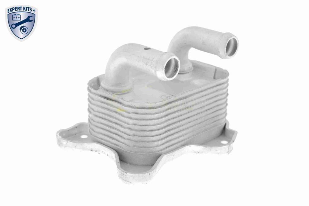 Radiador óleo motor VEMO ref. V40-60-2103
