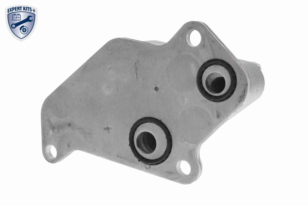 Radiador óleo motor VEMO ref. V40-60-2104