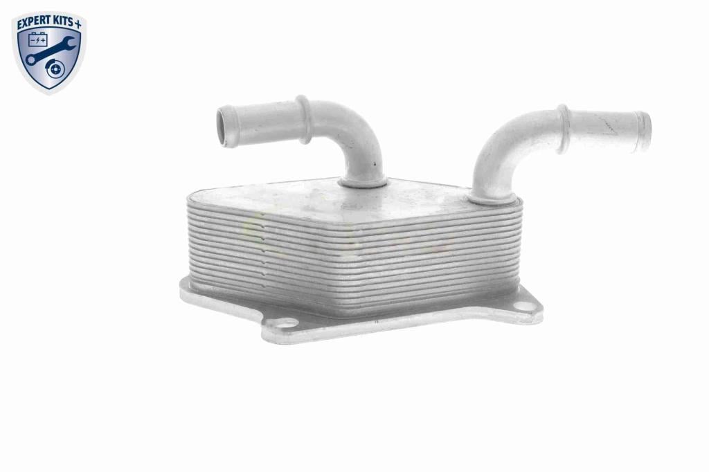 Radiador óleo motor VEMO ref. V40-60-2104