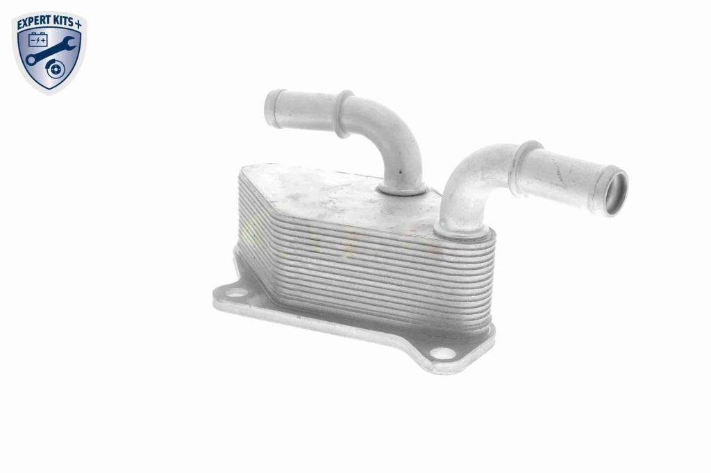 Radiador óleo motor VEMO ref. V40-60-2104