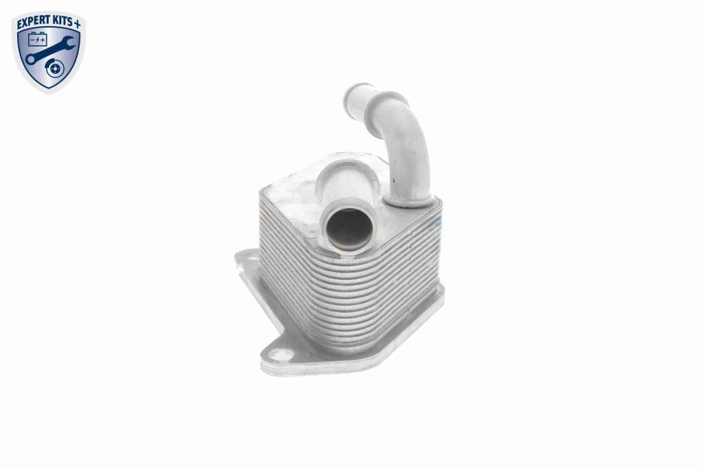 Radiador óleo motor VEMO ref. V40-60-2104