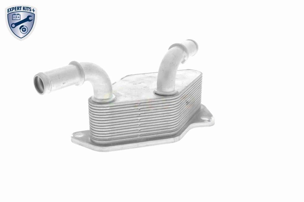Radiador óleo motor VEMO ref. V40-60-2104