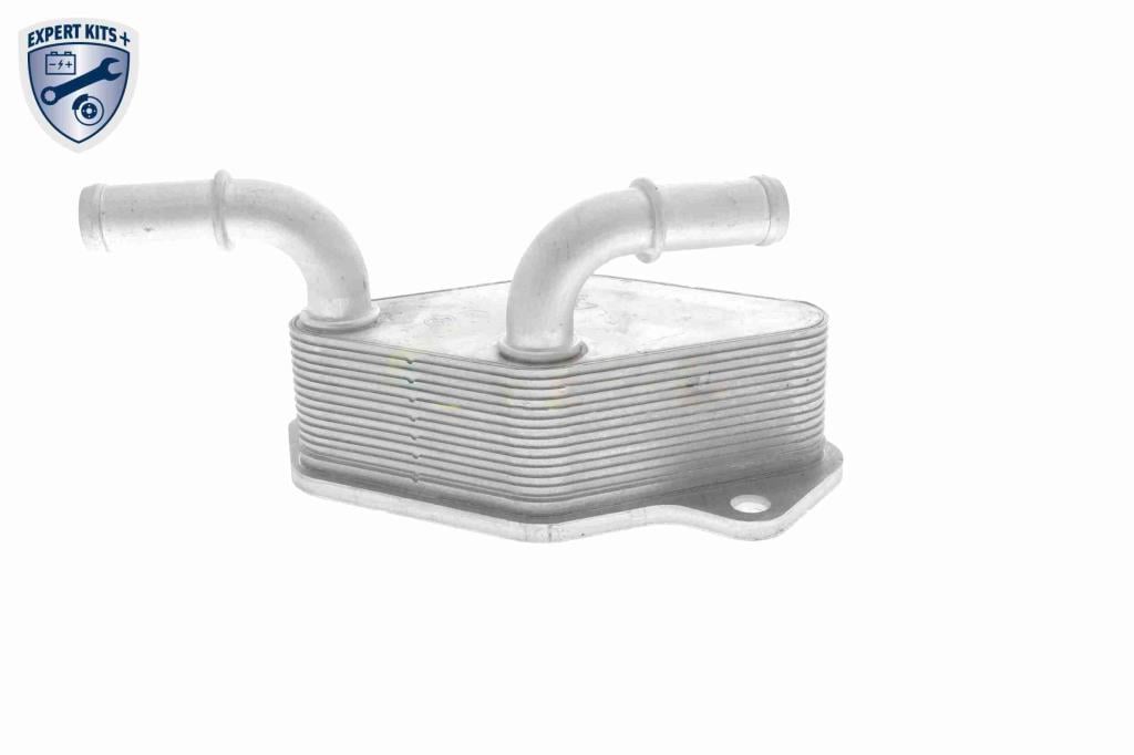 Radiador óleo motor VEMO ref. V40-60-2104