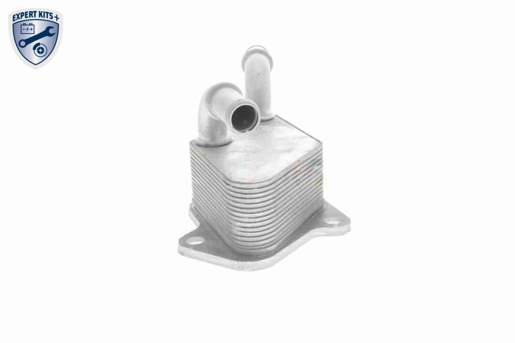 Radiador óleo motor VEMO ref. V40-60-2104