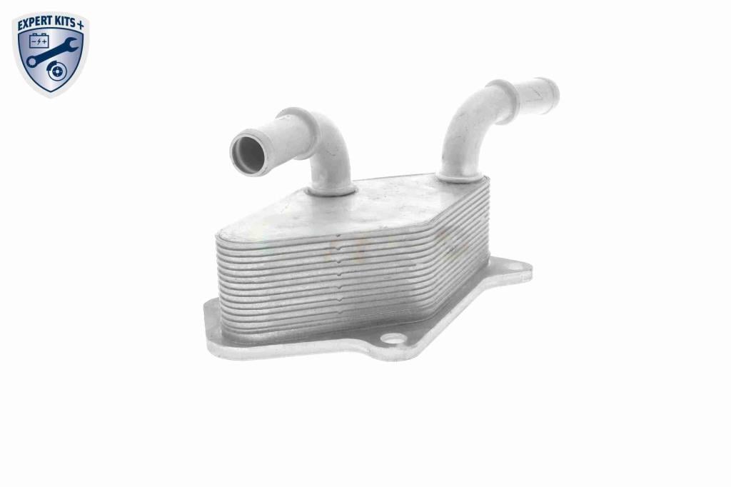 Radiador óleo motor VEMO ref. V40-60-2104