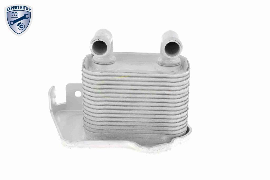 Radiador óleo motor VEMO ref. V40-60-2105