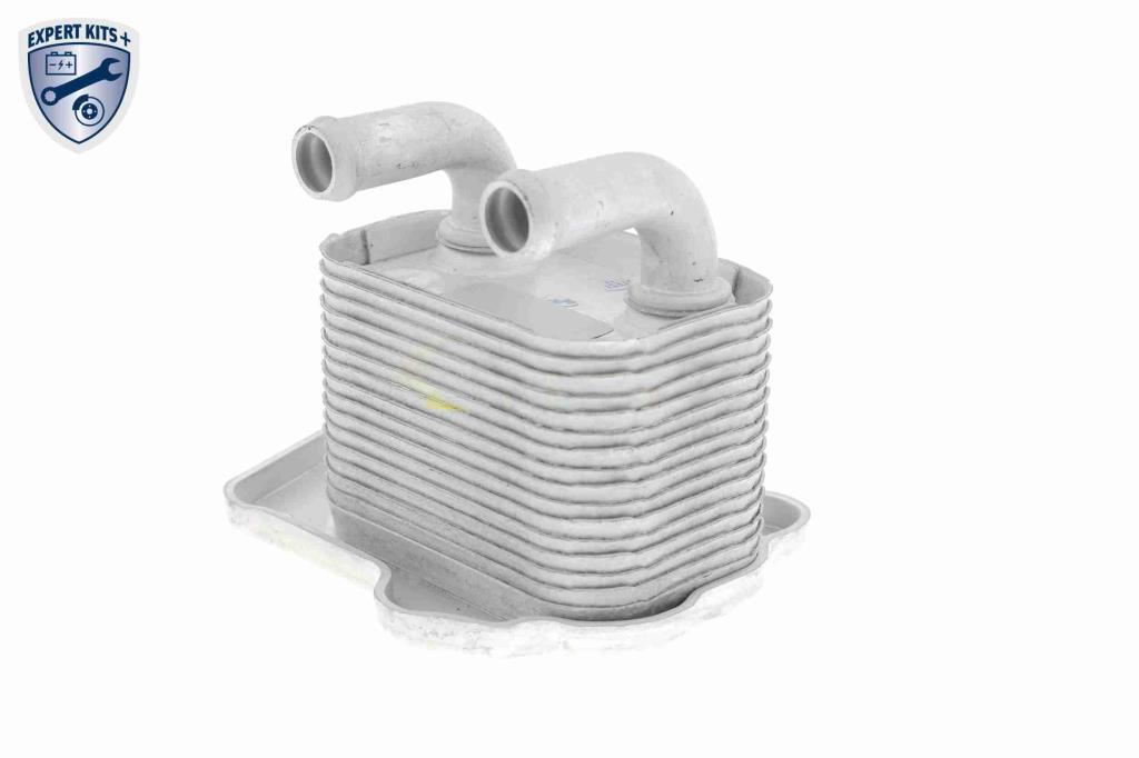 Radiador óleo motor VEMO ref. V40-60-2105