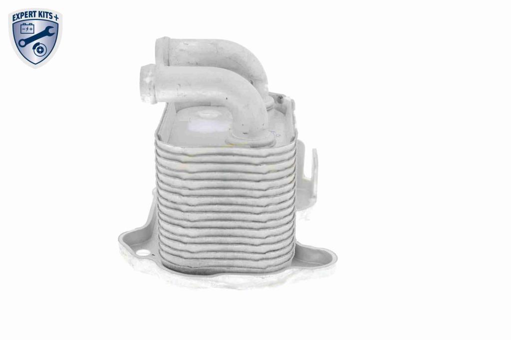 Radiador óleo motor VEMO ref. V40-60-2105