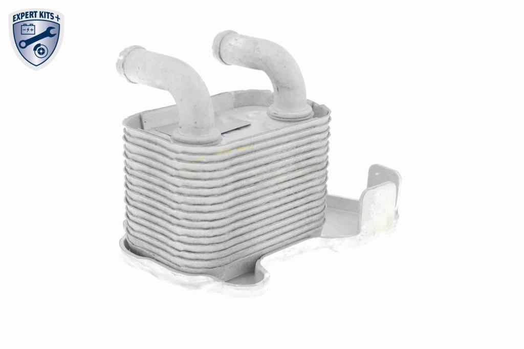 Radiador óleo motor VEMO ref. V40-60-2105
