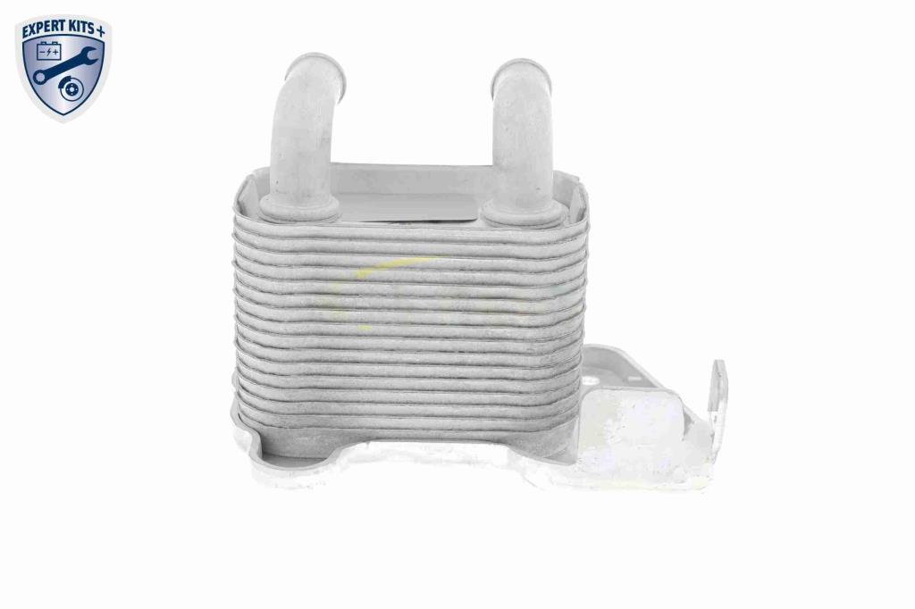 Radiador óleo motor VEMO ref. V40-60-2105