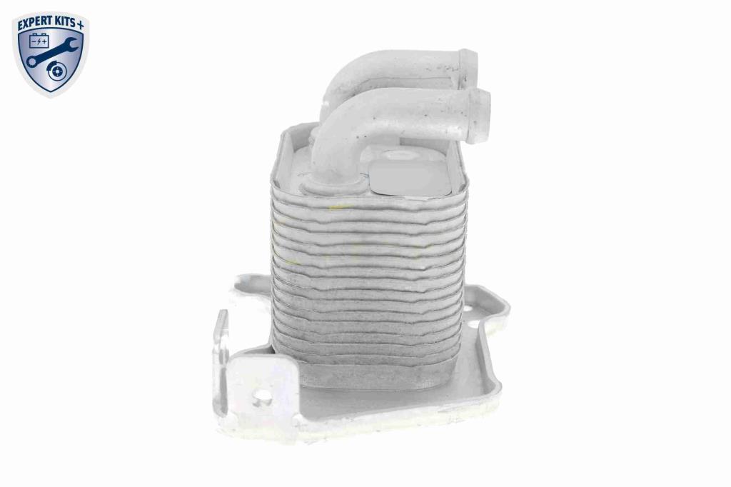 Radiador óleo motor VEMO ref. V40-60-2105
