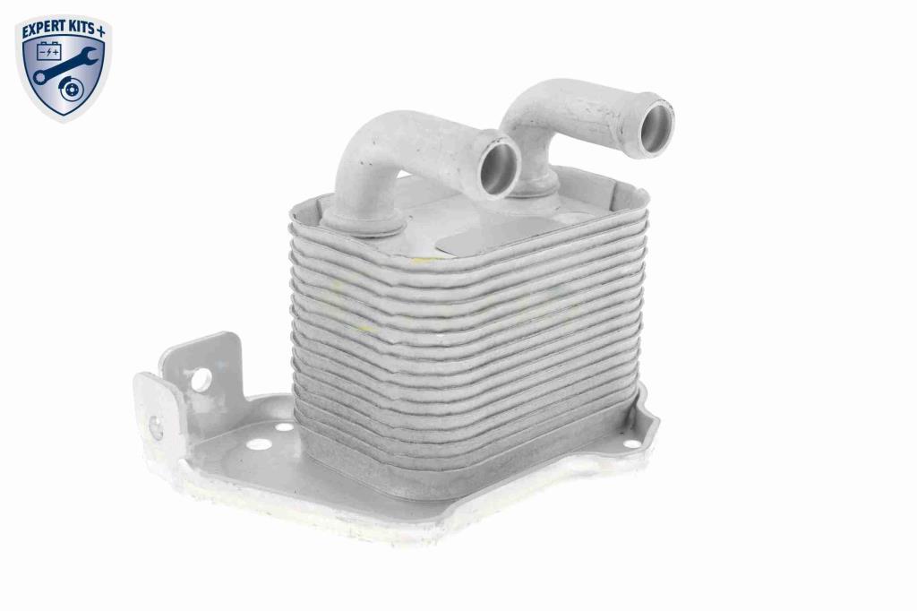 Radiador óleo motor VEMO ref. V40-60-2105