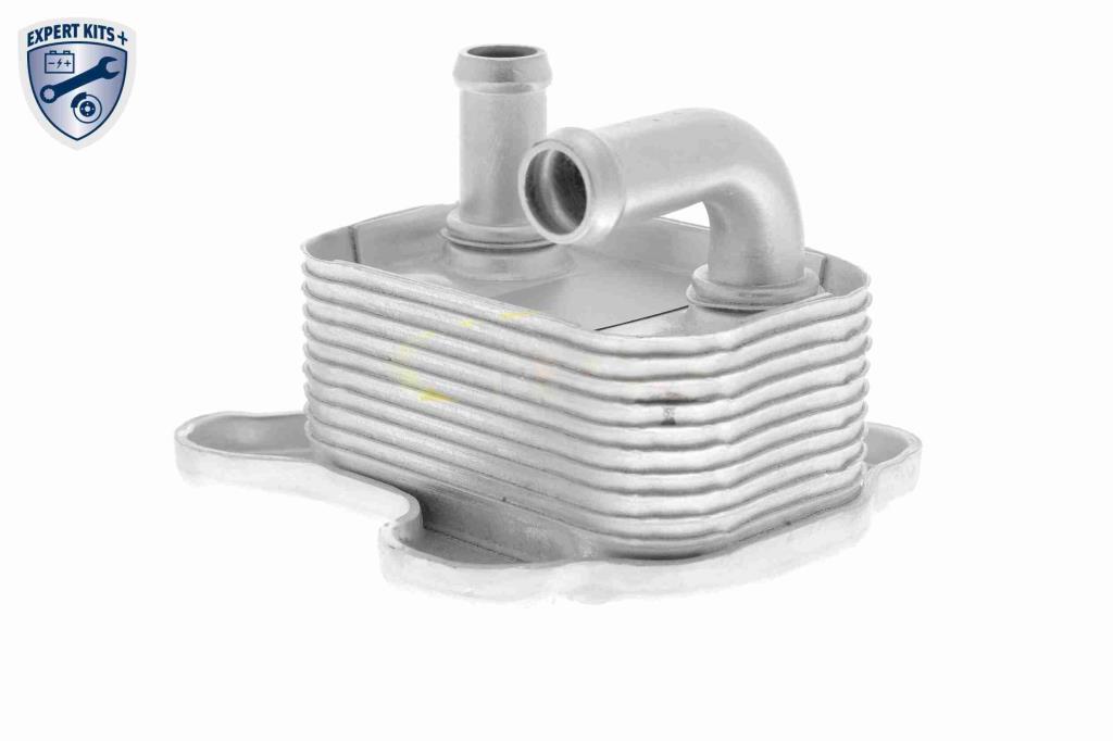 Radiador óleo motor VEMO ref. V40-60-2106