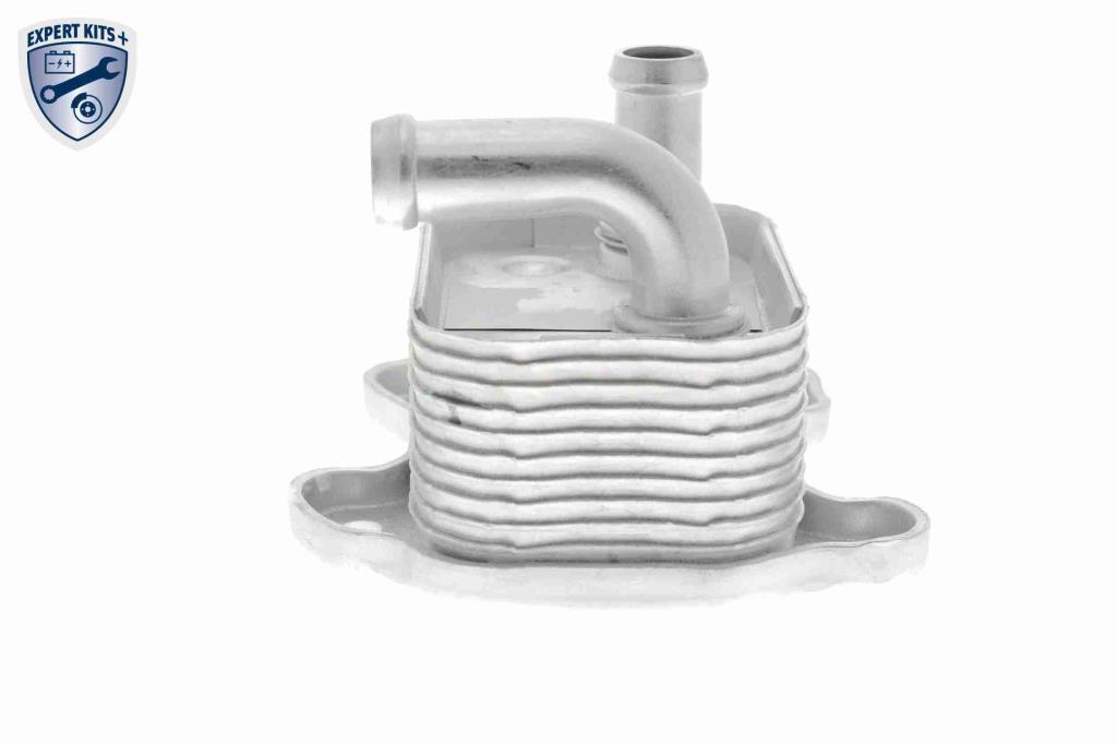 Radiador óleo motor VEMO ref. V40-60-2106