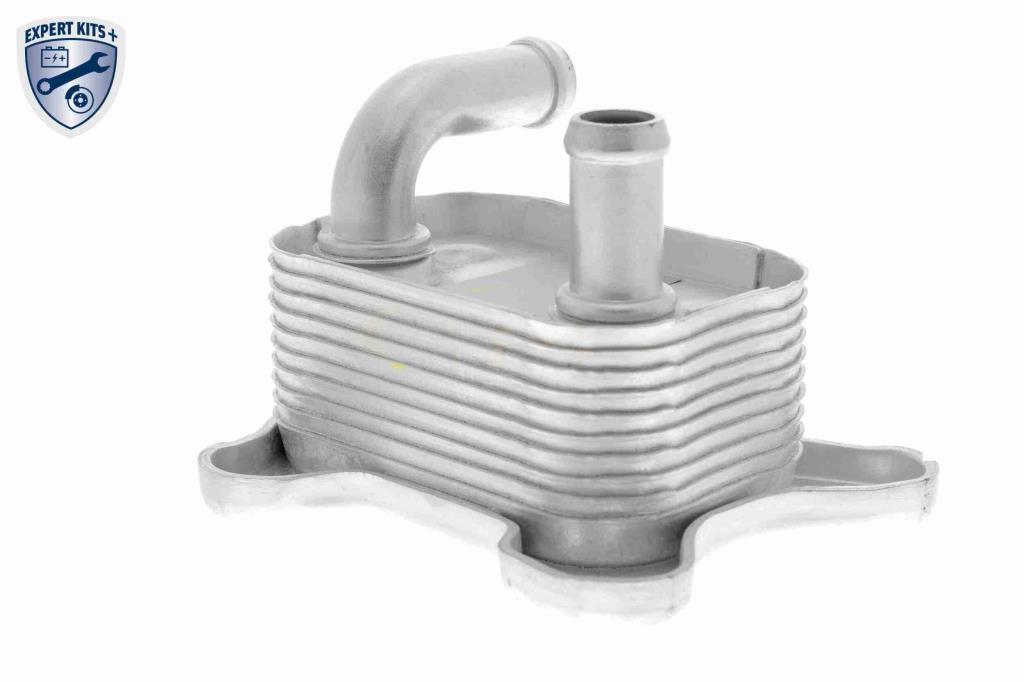 Radiador óleo motor VEMO ref. V40-60-2106