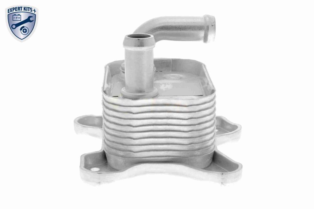 Radiador óleo motor VEMO ref. V40-60-2106