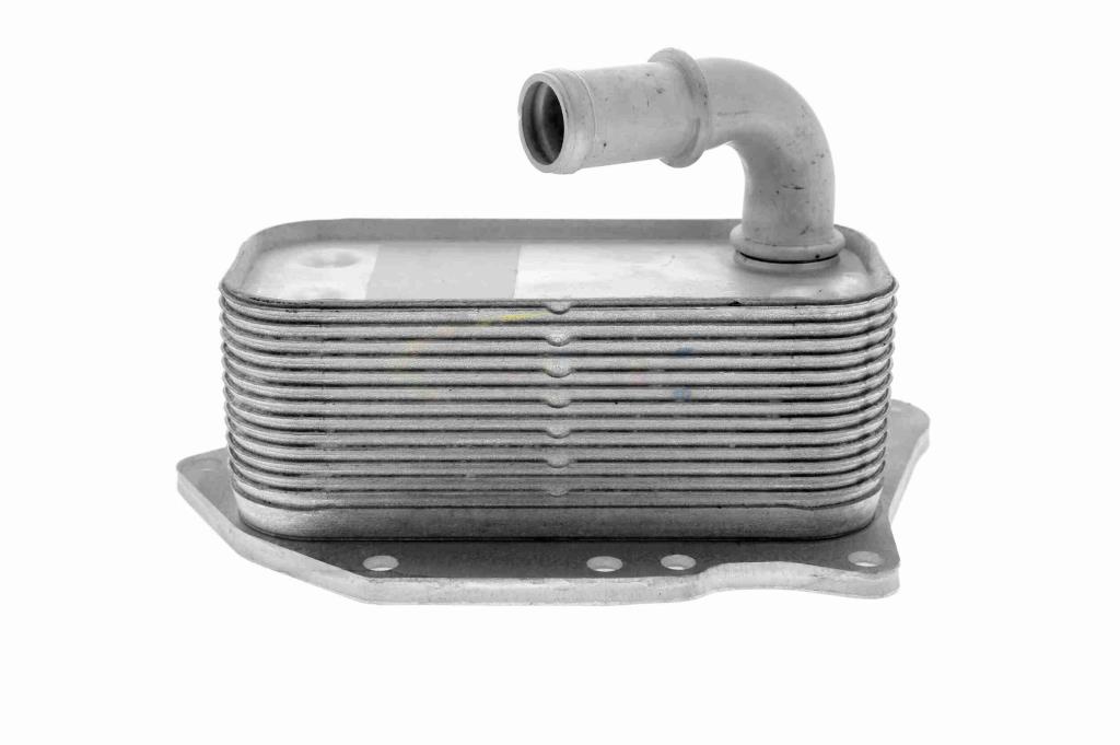 Radiador óleo motor VEMO ref. V40-60-2107