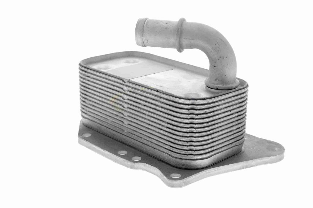 Radiador óleo motor VEMO ref. V40-60-2107