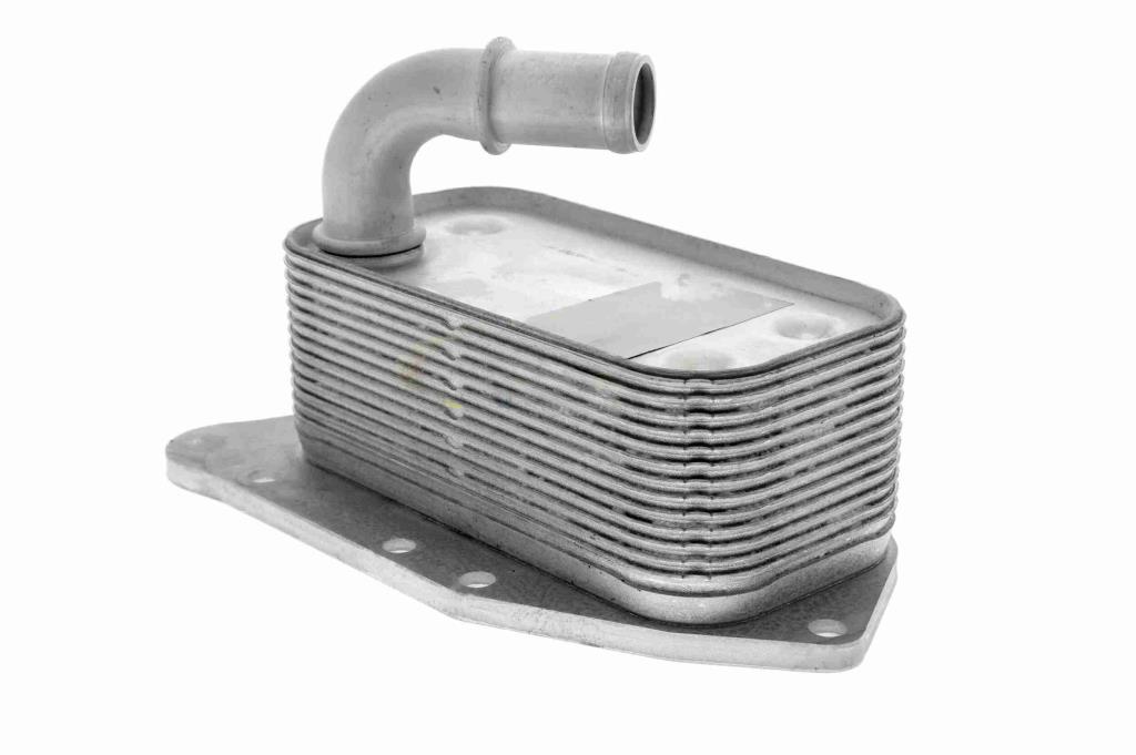 Radiador óleo motor VEMO ref. V40-60-2107
