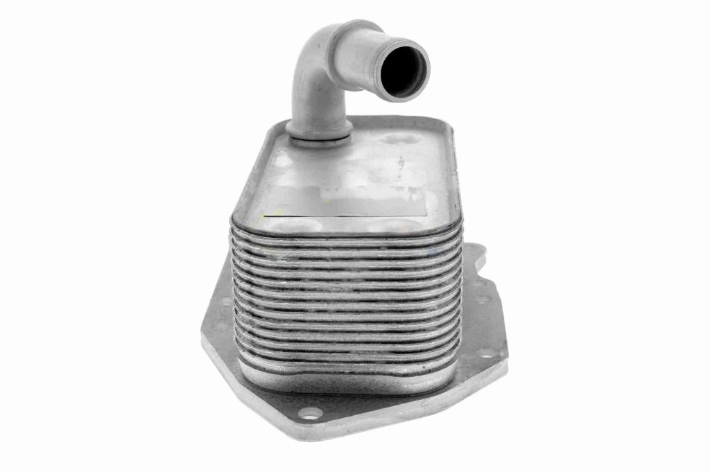 Radiador óleo motor VEMO ref. V40-60-2107