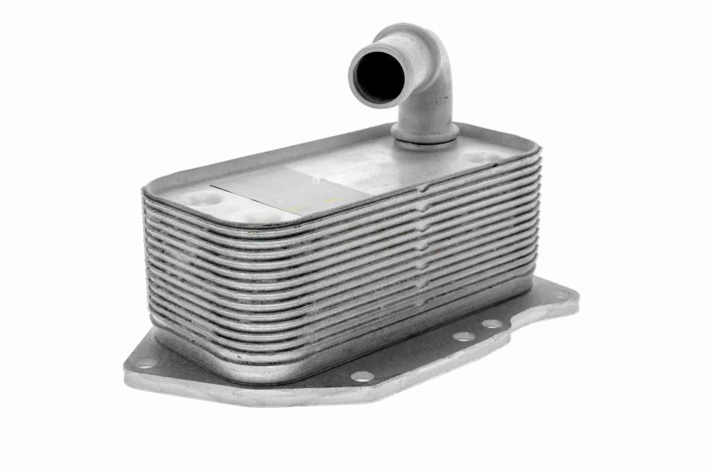 Radiador óleo motor VEMO ref. V40-60-2107