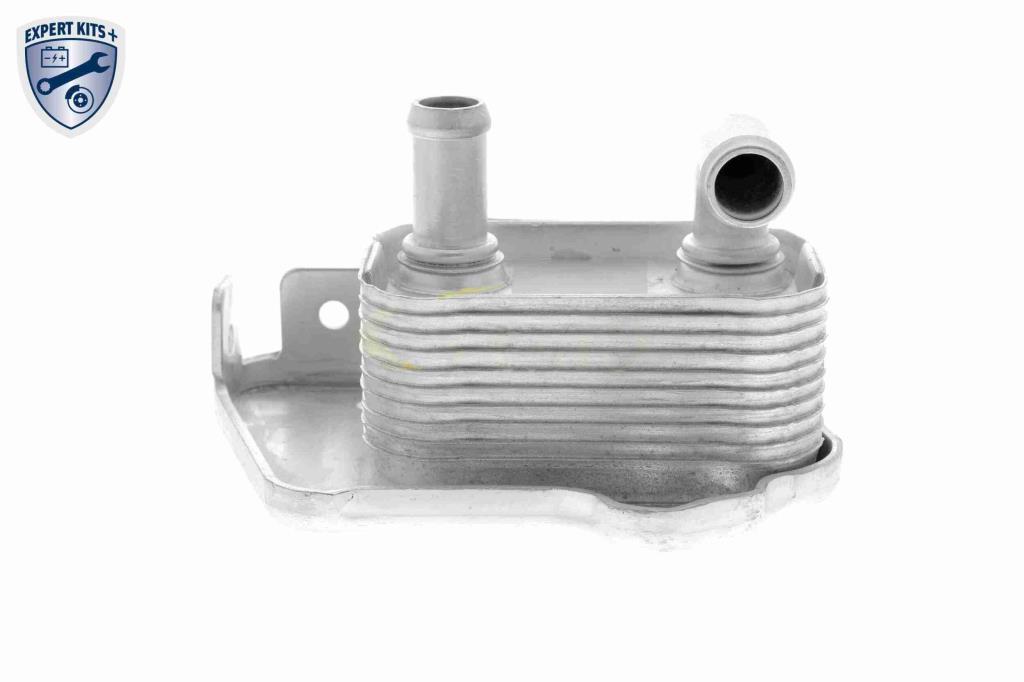 Radiador óleo motor VEMO ref. V40-60-2110