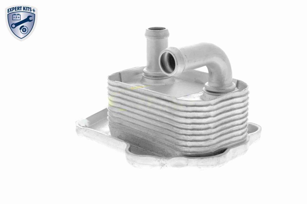 Radiador óleo motor VEMO ref. V40-60-2110