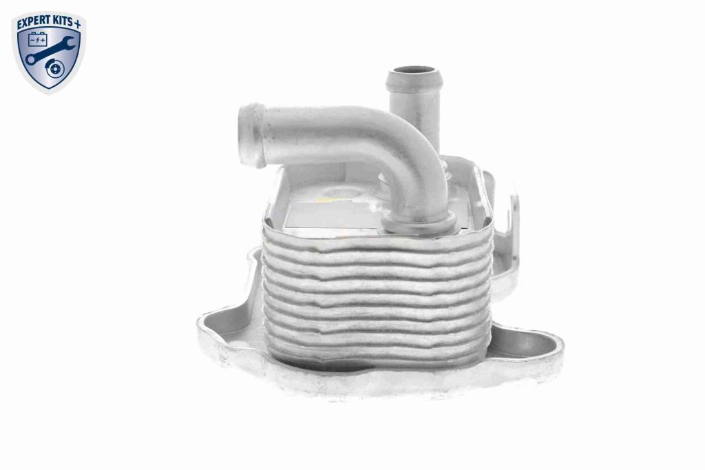 Radiador óleo motor VEMO ref. V40-60-2110