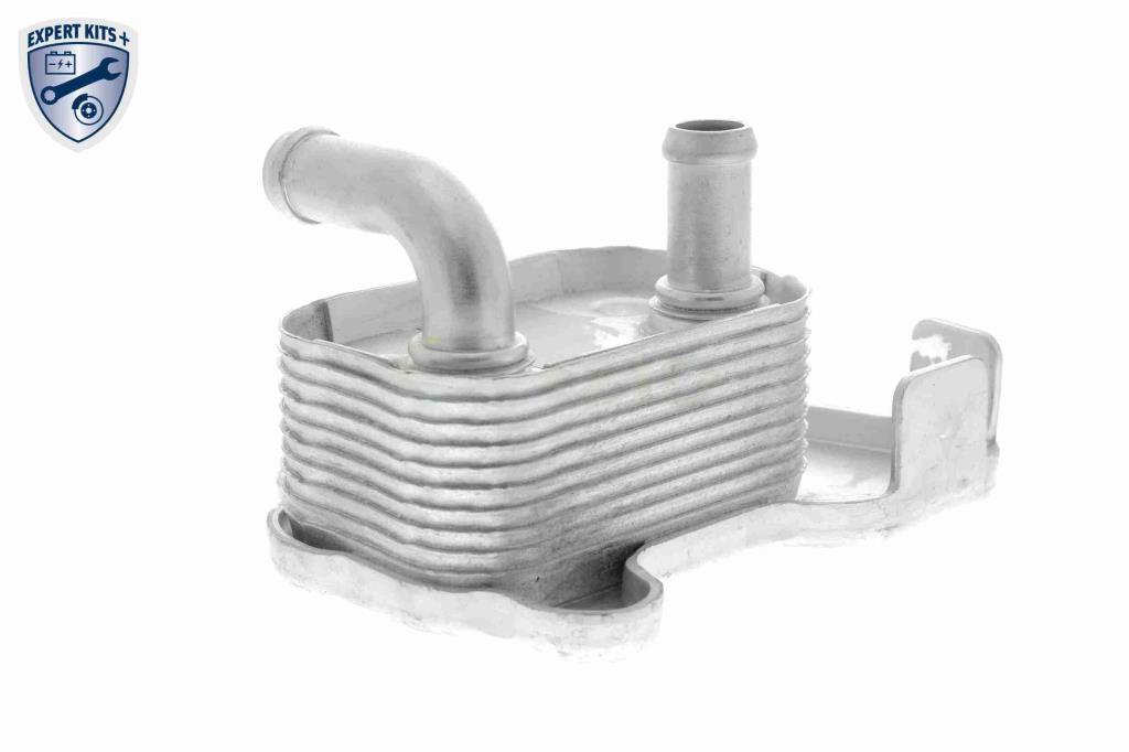 Radiador óleo motor VEMO ref. V40-60-2110