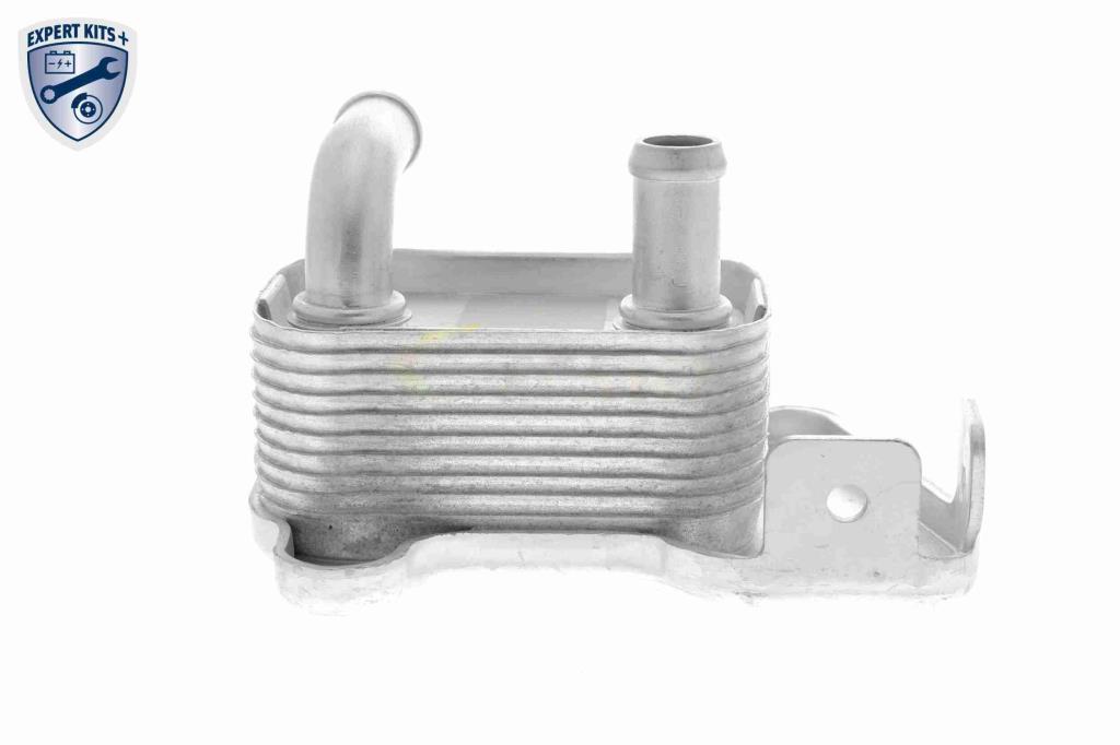 Radiador óleo motor VEMO ref. V40-60-2110