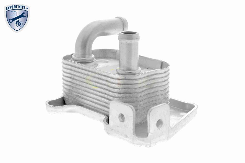 Radiador óleo motor VEMO ref. V40-60-2110