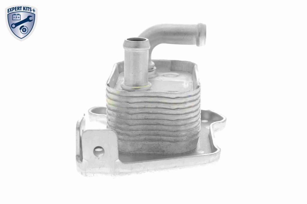 Radiador óleo motor VEMO ref. V40-60-2110