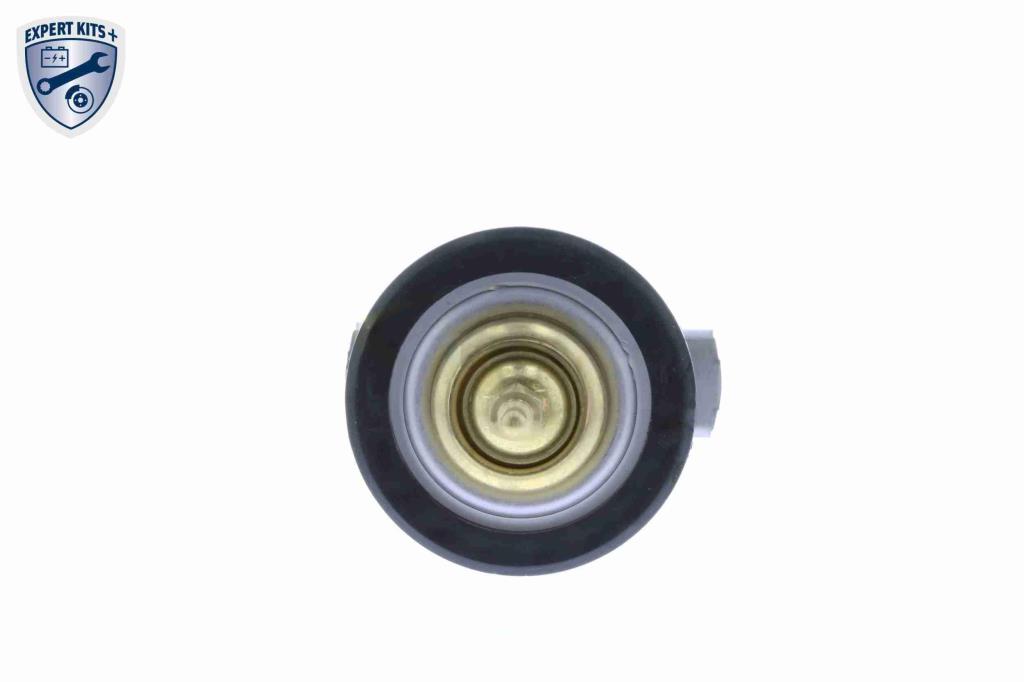 Thermostat d'eau (Calorstat) VEMO V40-99-1096
