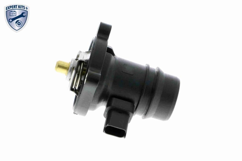 Thermostat d'eau (Calorstat) VEMO V40-99-1099