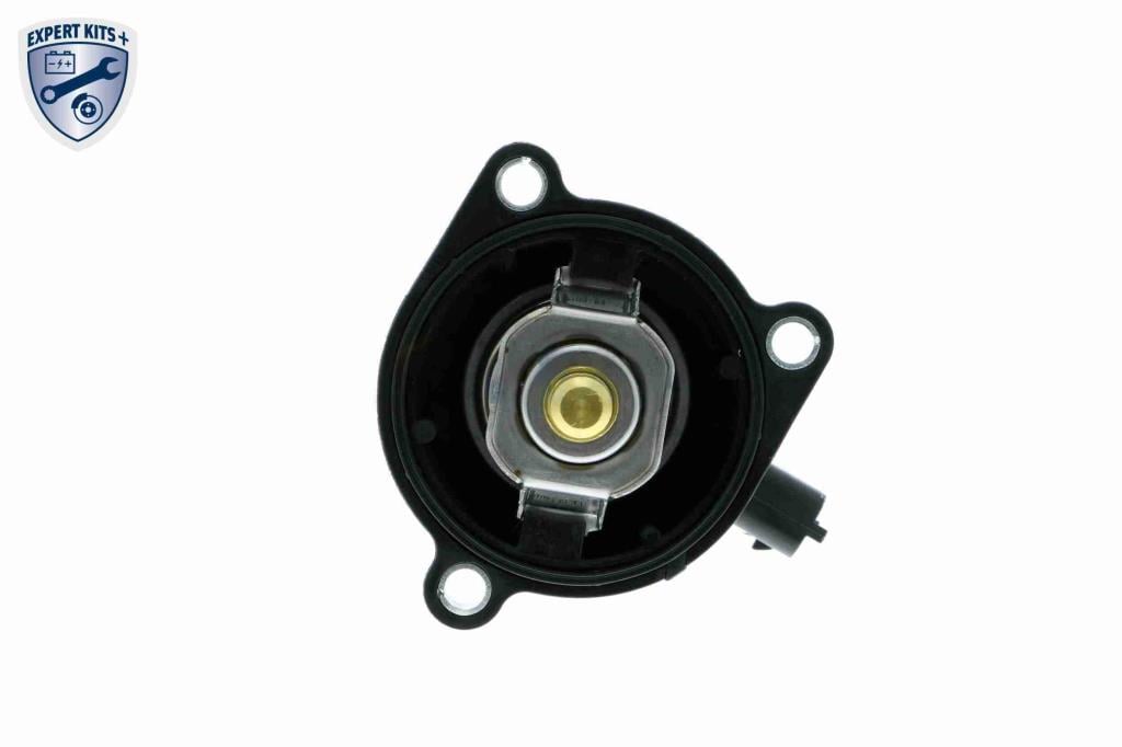 Thermostat d'eau (Calorstat) VEMO V40-99-1099
