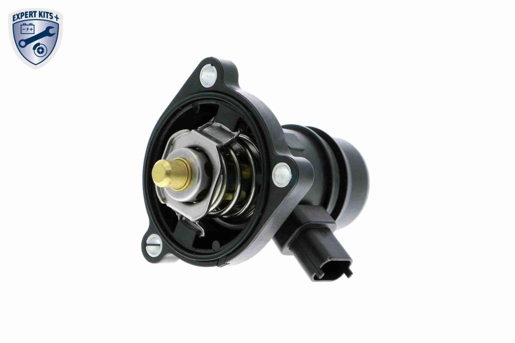 Thermostat d'eau (Calorstat) VEMO V40-99-1099