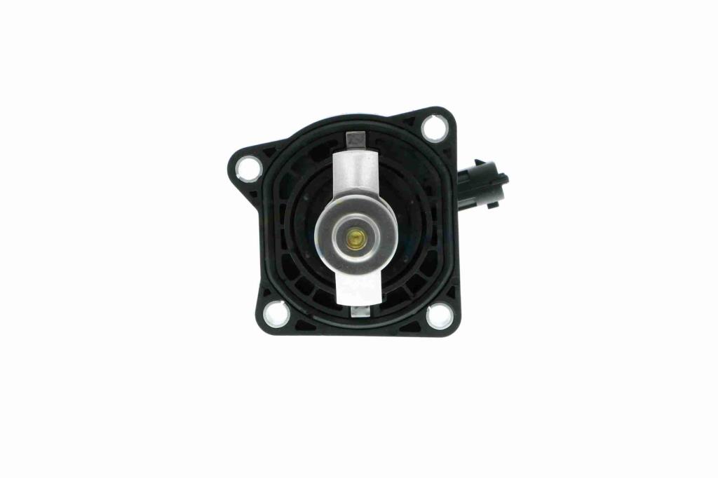 Thermostat d'eau (Calorstat) VEMO V40-99-1100