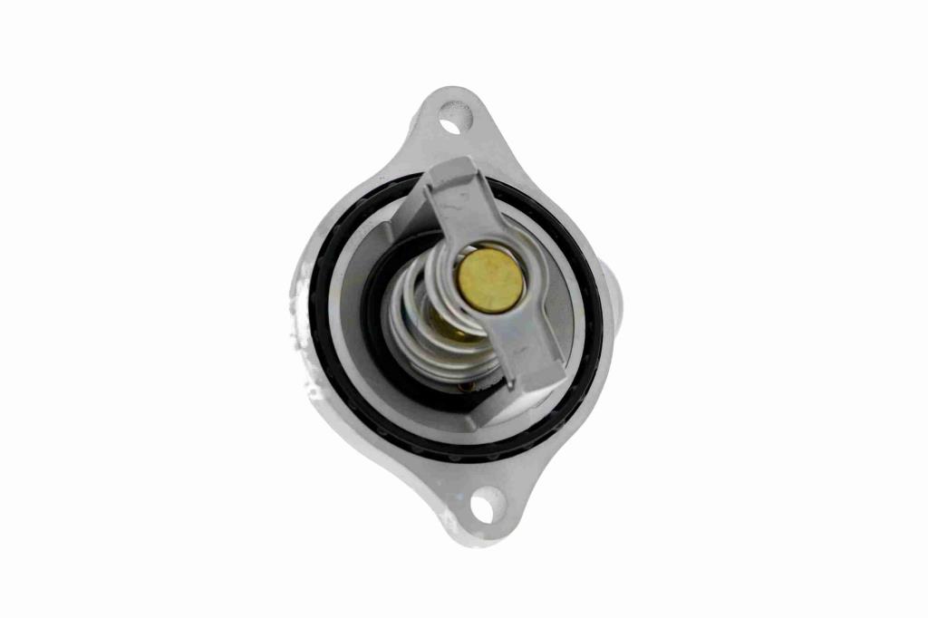 Thermostat d'eau (Calorstat) VEMO V40-99-1103