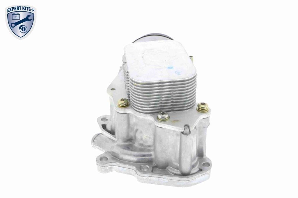 Radiador óleo motor VEMO ref. V42-60-0004