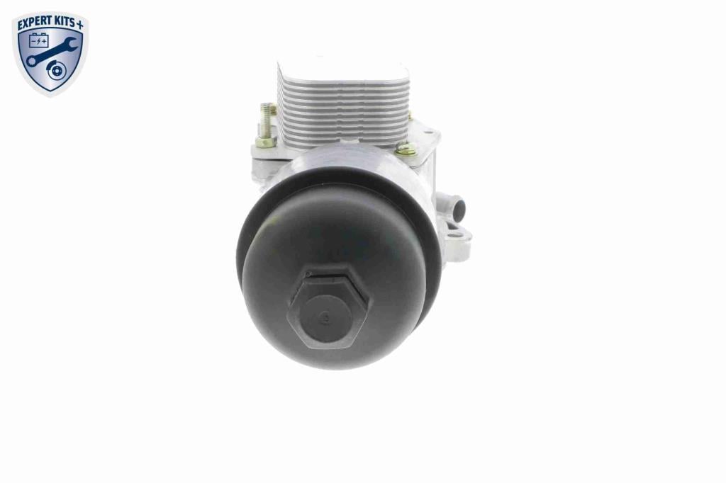 Radiador óleo motor VEMO ref. V42-60-0004