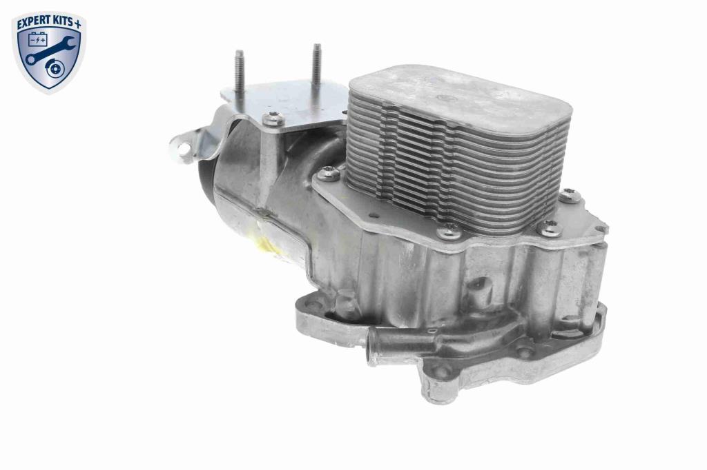Radiador óleo motor VEMO ref. V42-60-0007