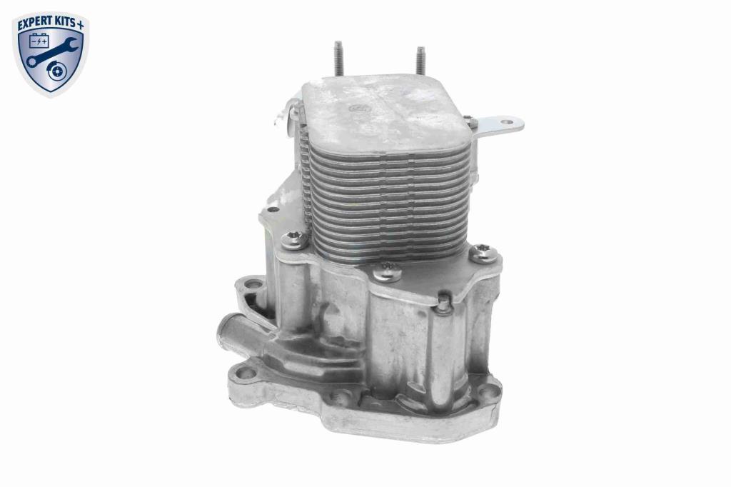 Radiador óleo motor VEMO ref. V42-60-0007