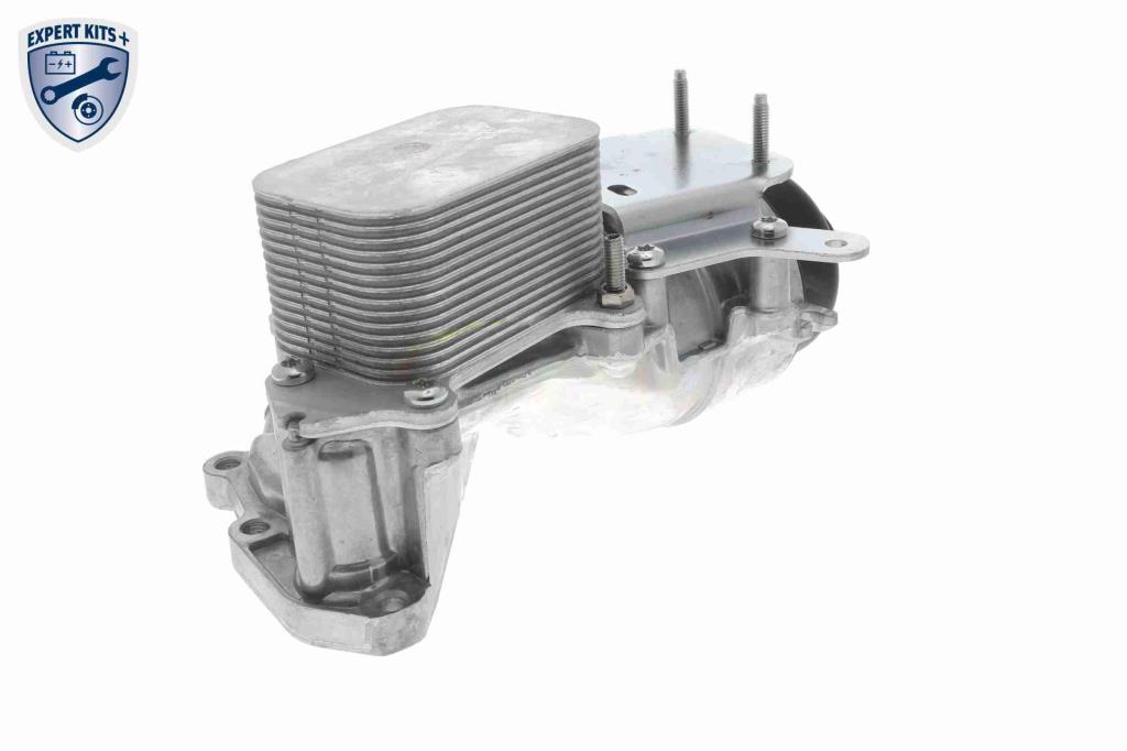 Radiador óleo motor VEMO ref. V42-60-0007